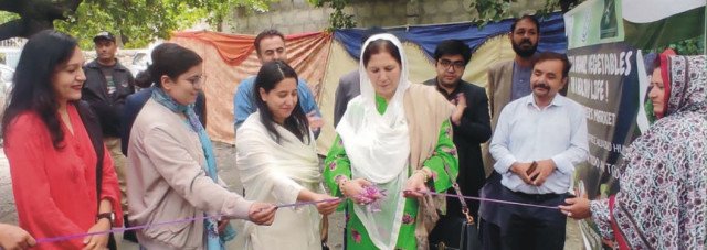 ہنزہ،خواتین کی جانب سے سبزیوں کابازارقائم