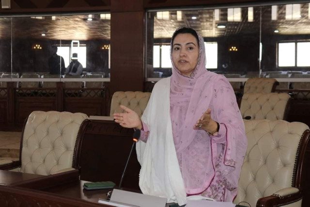 حقوق نسواں کا تحفظ ہر فرد کی ذمہ داری، ڈپٹی سپیکر