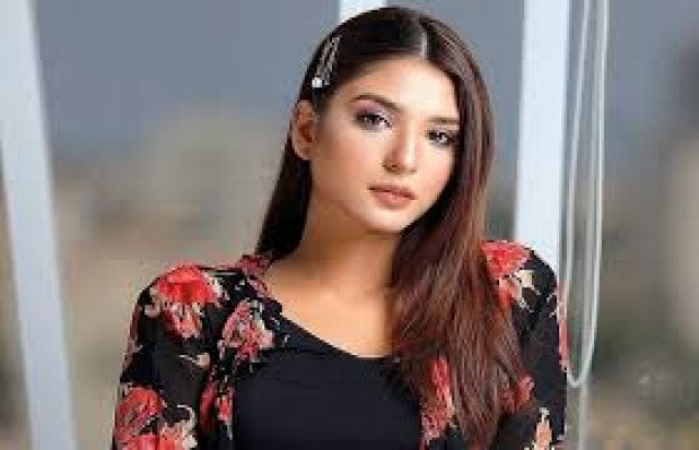 رمشا خان بولڈ لباس پہننے پر شدید تنقید کی زد میں آگئیں