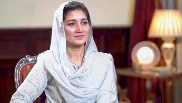 ن لیگ نے سیاست میں بدتمیزی کی بنیاد رکھی، مہربانوقریشی