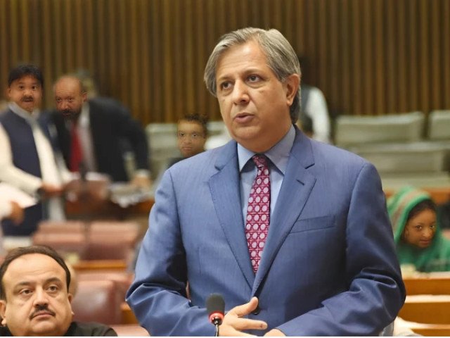حکومت کی ذمہ داری ہے کہ پورے ملک میں یکساں تعلیم ہونی چاہیے، اعظم نذیر تارڑ